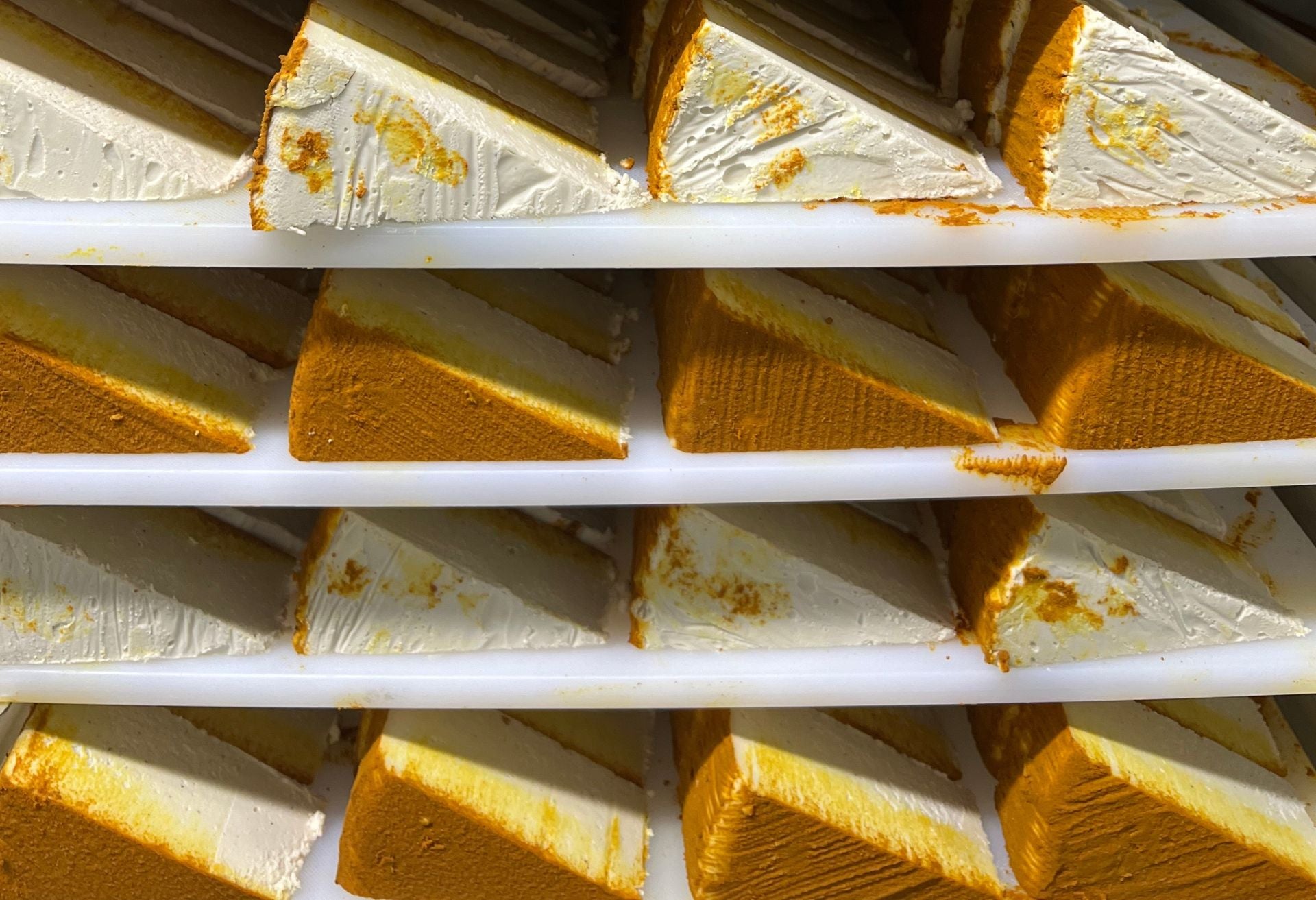 nuts for cheese cashew cheese wedges on a trays in the factory